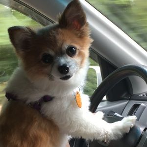 Meet your Posher, Kristi